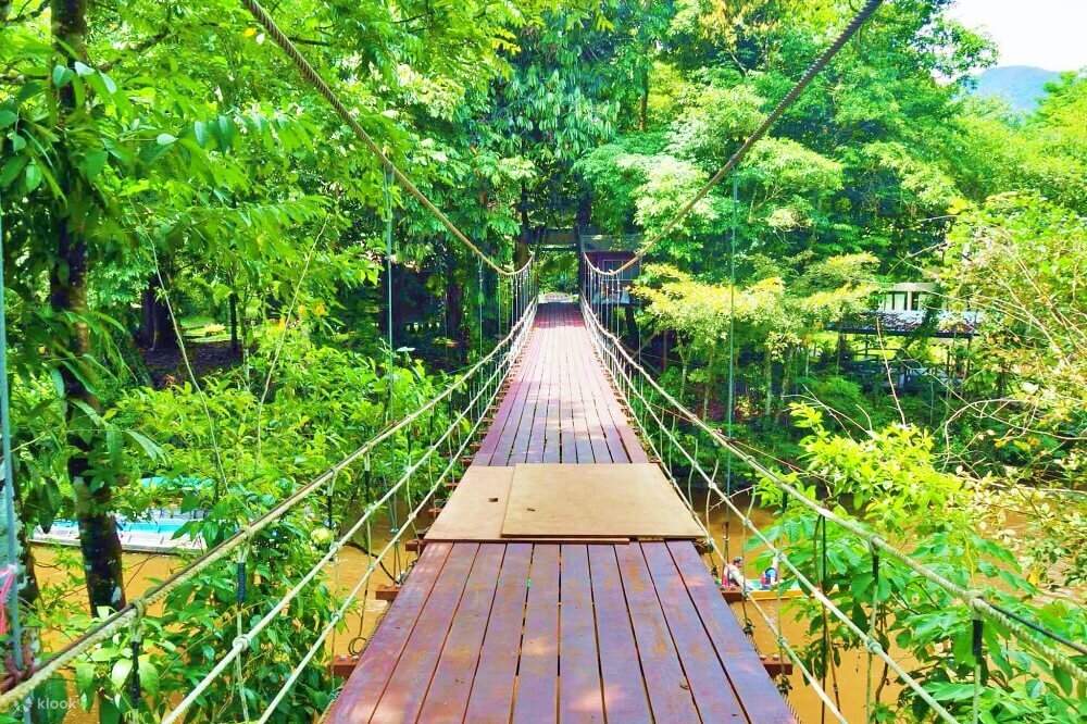 Công Viên Quốc Gia Gunung Mulu National Park Kuching