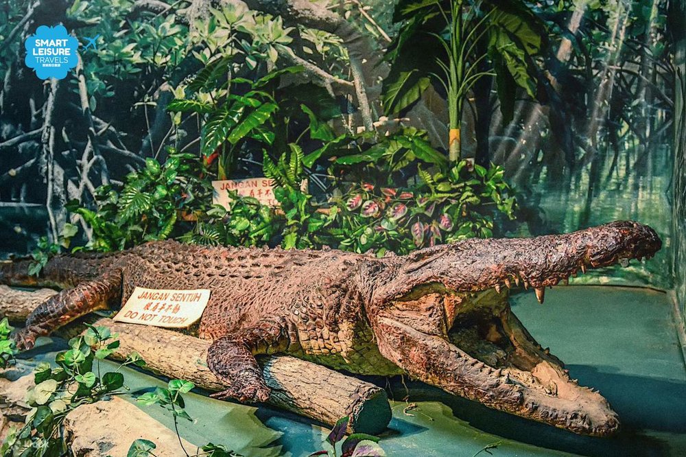 Trang Trại Cá Sấu Jong Crocodile Farm Kuching