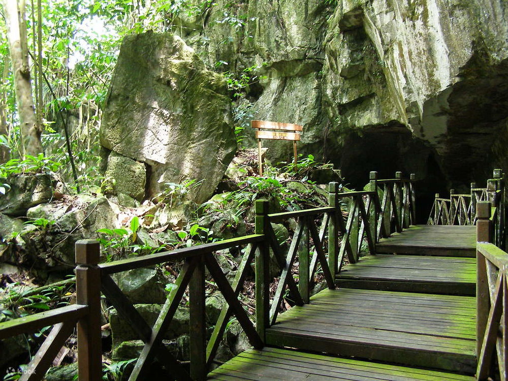 Trung Tâm Bảo Tồn Hang Gió Wind Cave Nature Reserve Kuching