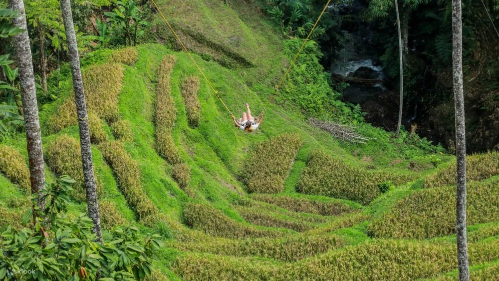 Bali Swing and Waterfall Full-Day Tour in Ubud