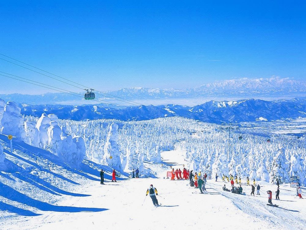 藏王國際飯店 滑雪勝地