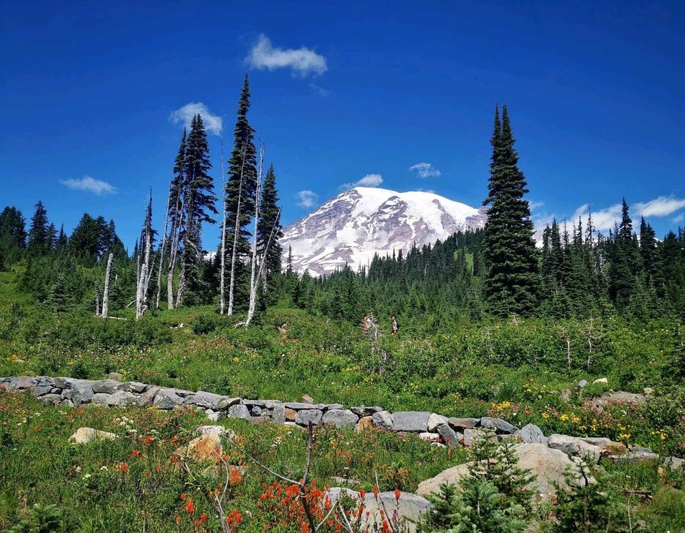 シアトル マウントレーニア国立公園