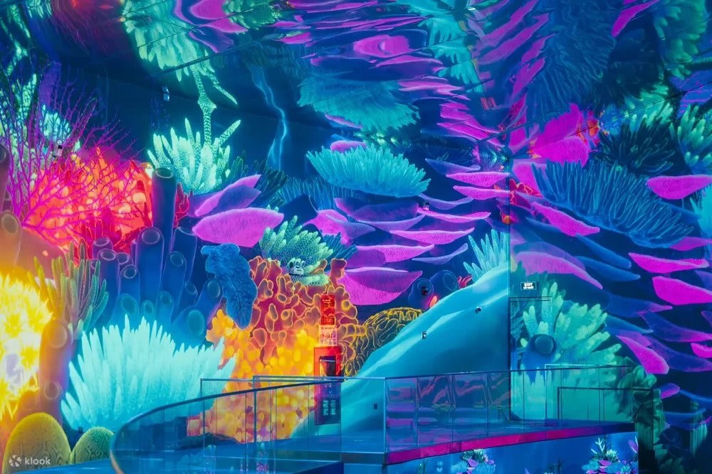 富國島冰上叢林