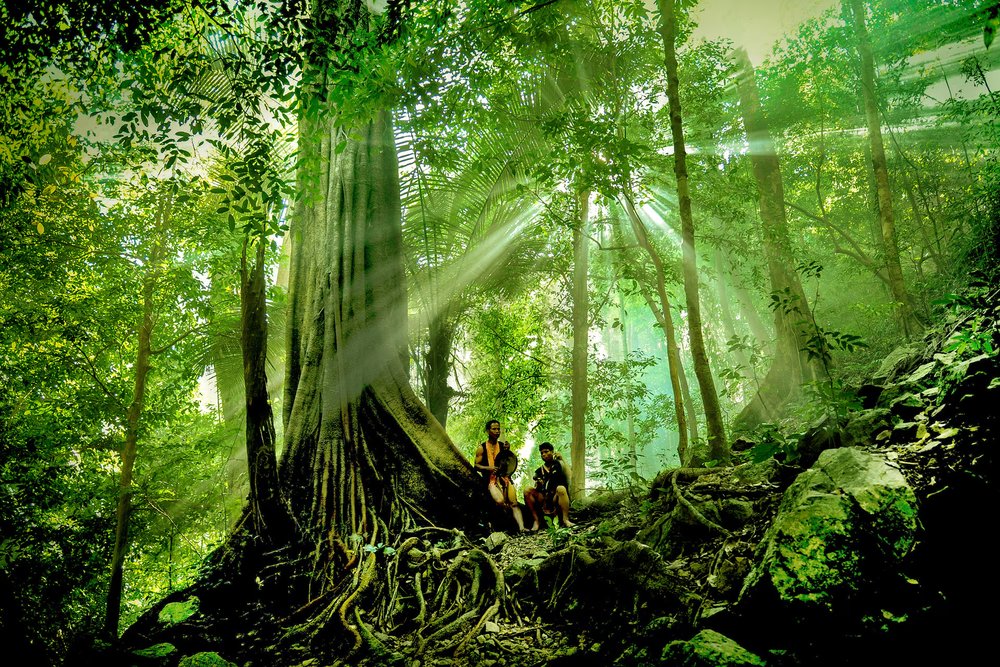 Vườn Quốc Gia Ba Bể