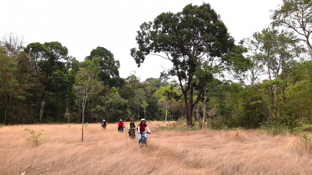 Vườn Quốc Gia Lò Gò - Xa Mát - Tây Ninh