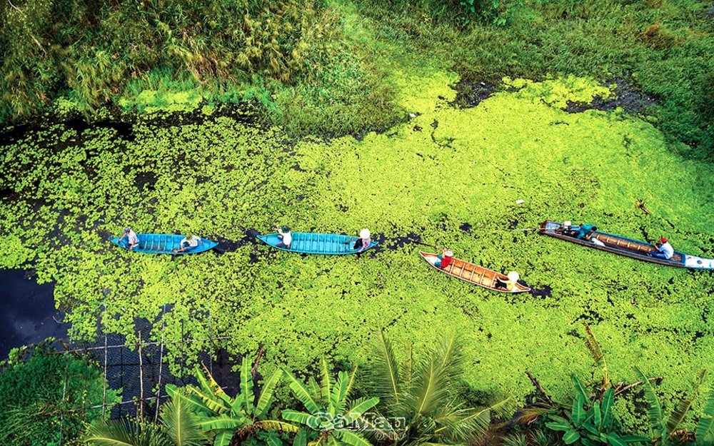 Vườn Quốc Gia U Minh Hạ - Cà Mau