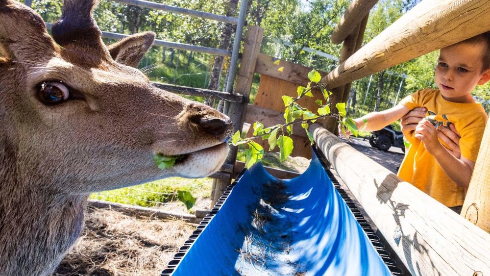 挪威景點, 北極動物園 Polar Park