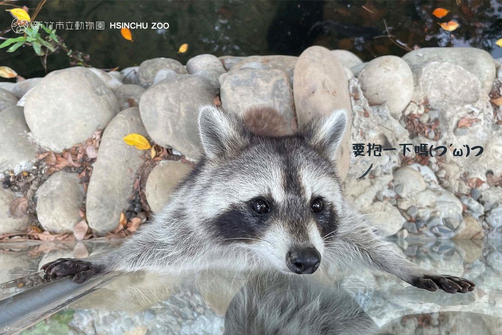 Sở Thú Hsinchu Zoo Tân Trúc