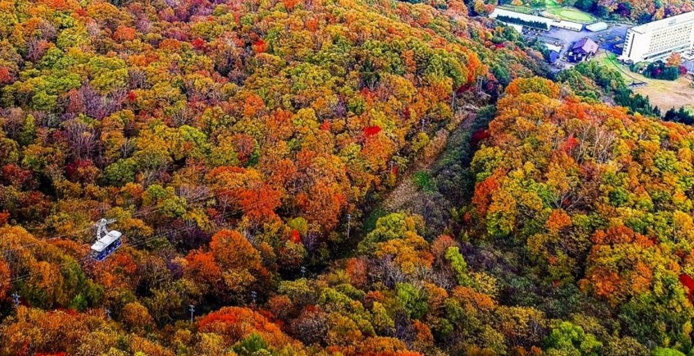 雫石王子大飯店｜楓葉纜車
