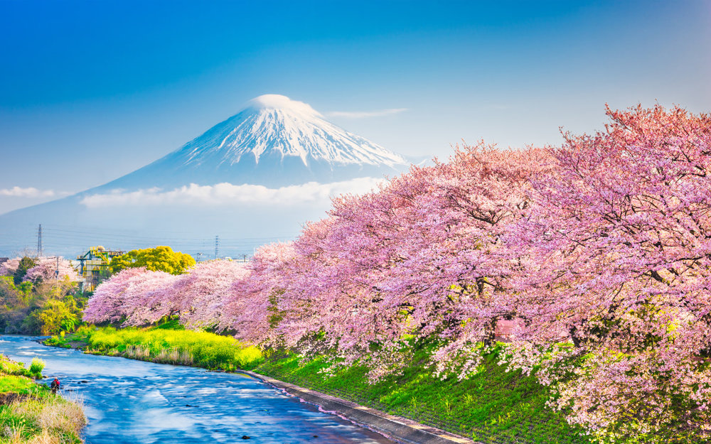 cong-vien-Fuji-Q-Highland 