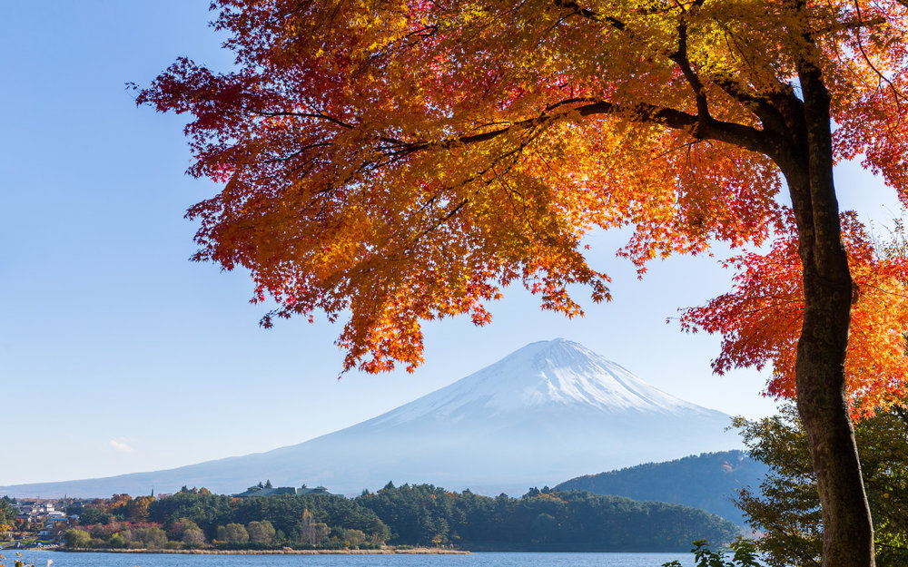 Mùa Lá Đỏ Nhật Bản Bắt Đầu Lúc Nào?