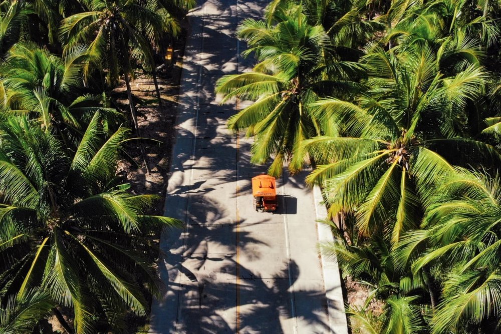  Điểm Ngắm Cảnh Coconut View Deck 