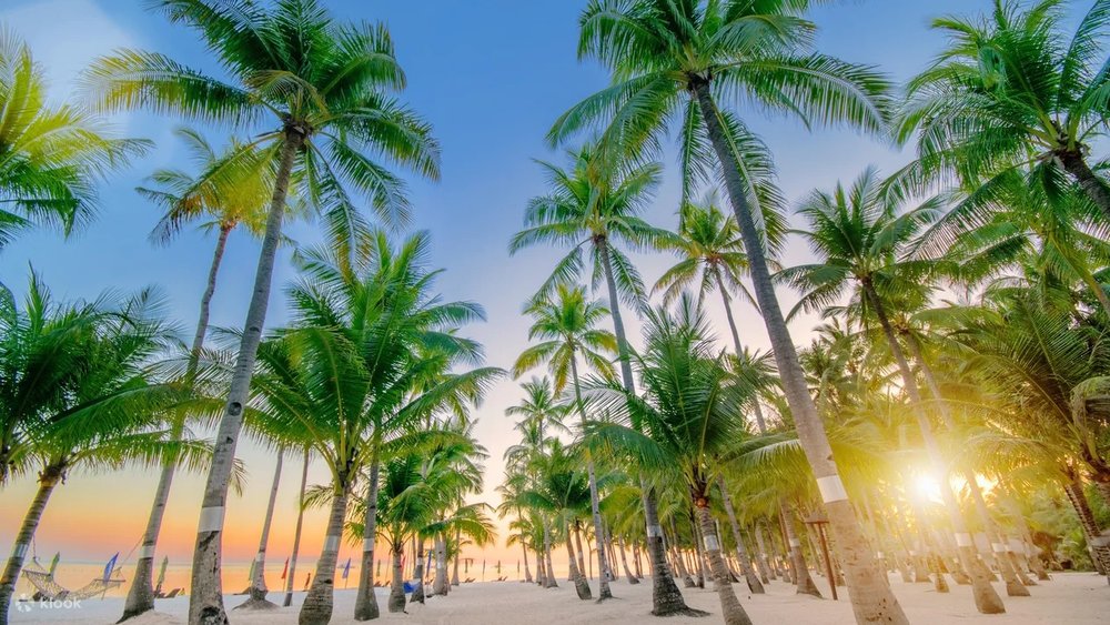 Trải Nghiệm Oceanica Resort Panglao