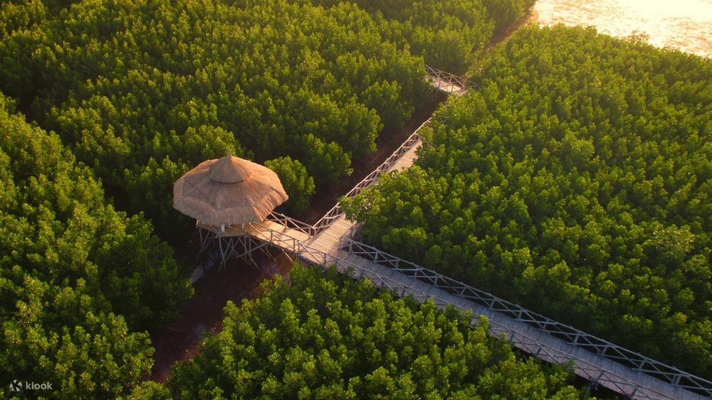  Tận Hưởng Thiên Nhiên Xanh Tại North Zen Villas