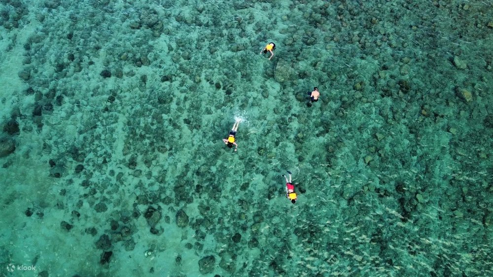 鹽田梓獨木舟浮潛團