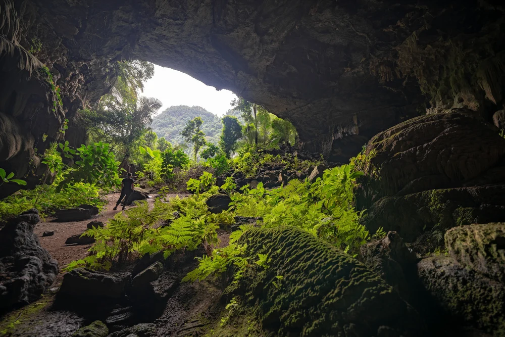 Hang Hổ trong du lịch phong nha kẻ bàng