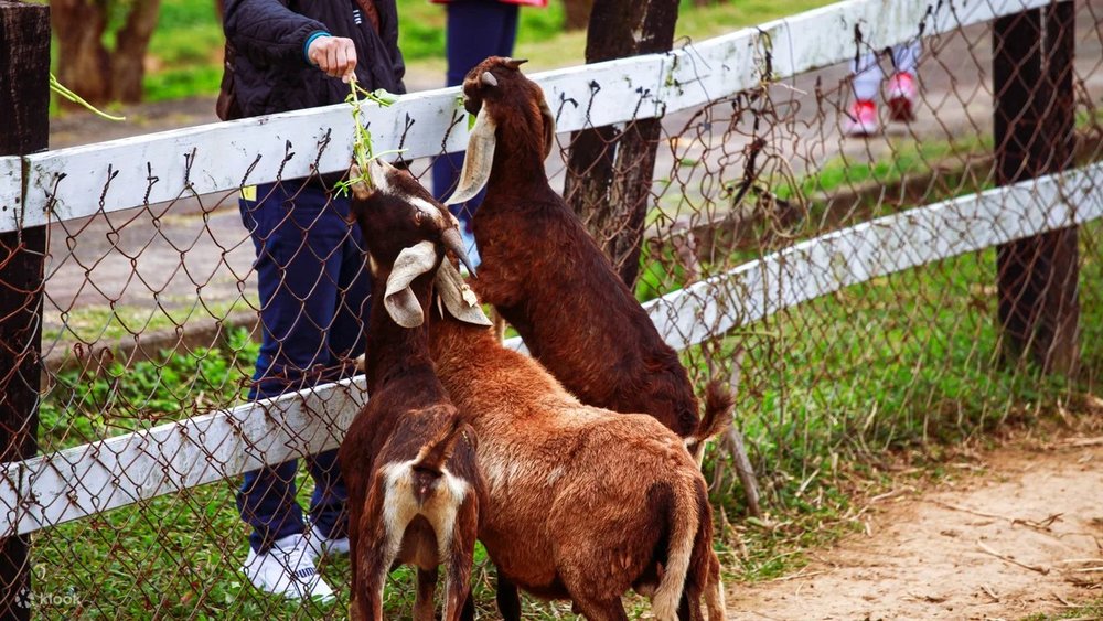 Vườn Yuan Sen Ở Đài Đông