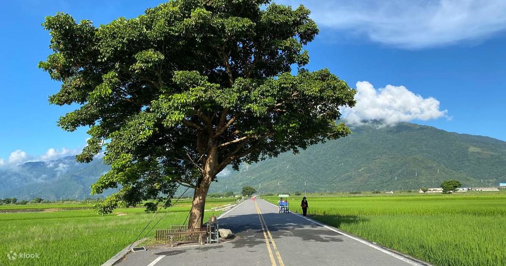  Brown Boulevard Ở Trì Thượng (Chishang), Đài Đông