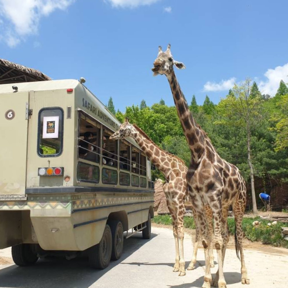 動物王國|遺失的峽谷(Lost Valley)