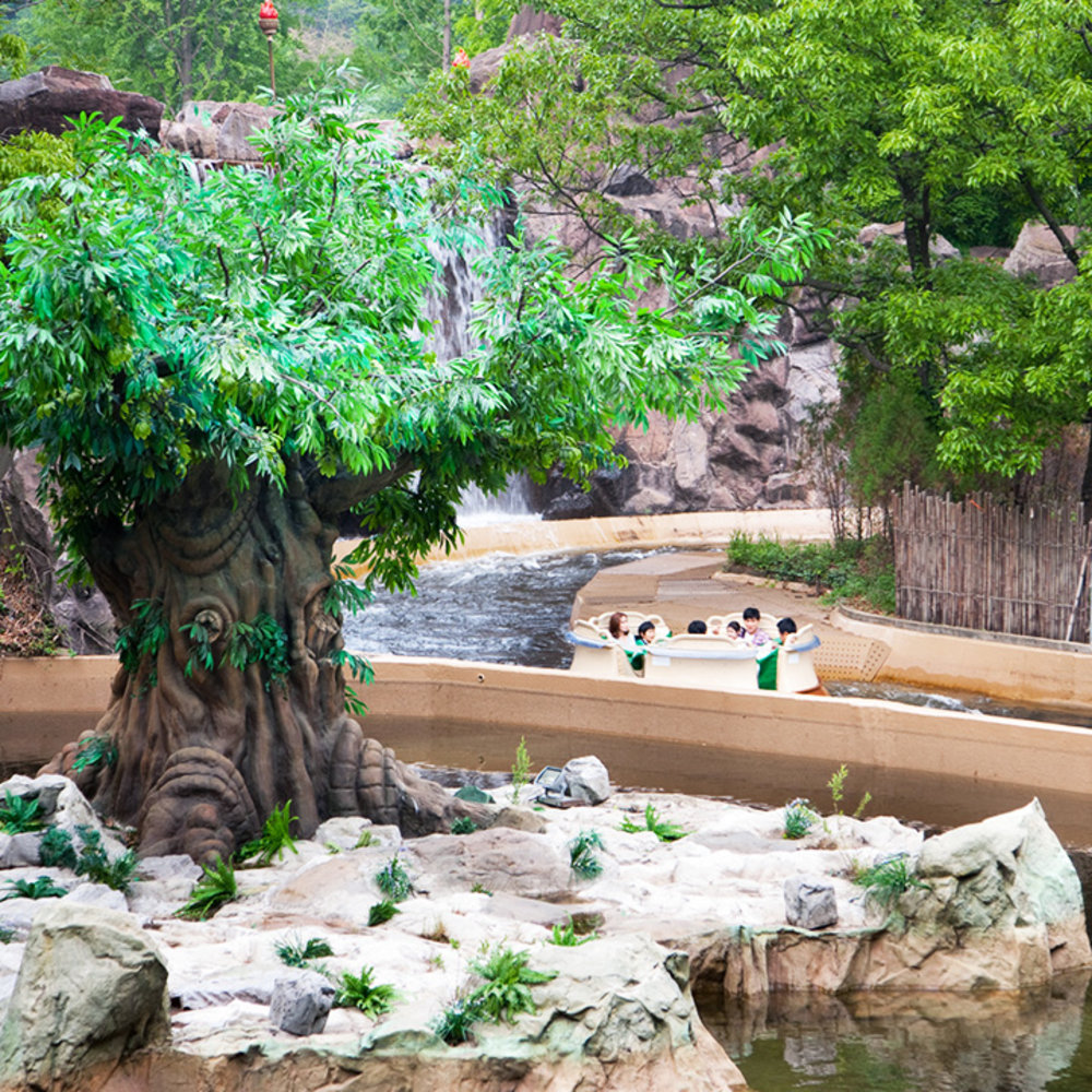 動物王國|亞馬遜激流探險(Amazon Express)