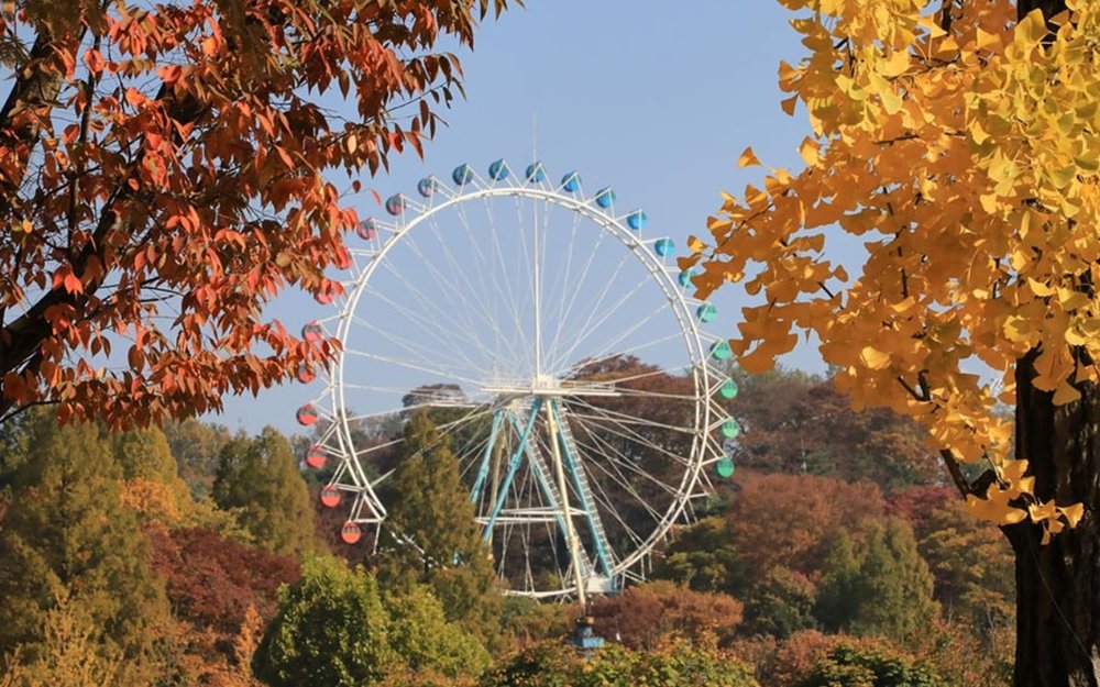 Công Viên Everland - Seoul