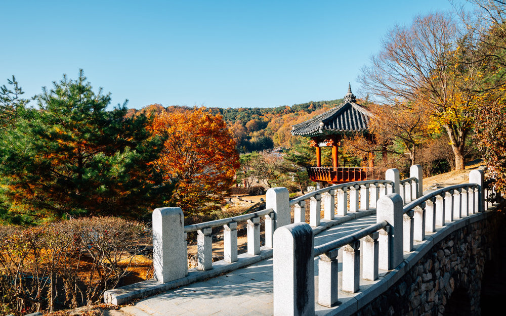 Du Lịch Hàn Quốc Tháng 9 Đã Có Lá Phong Đỏ Hay Chưa?