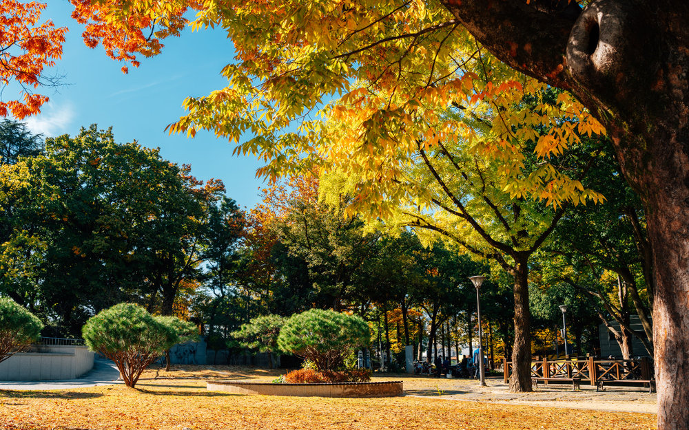 Thời Tiết Tháng 9 Ở Hàn Quốc Như Thế Nào?