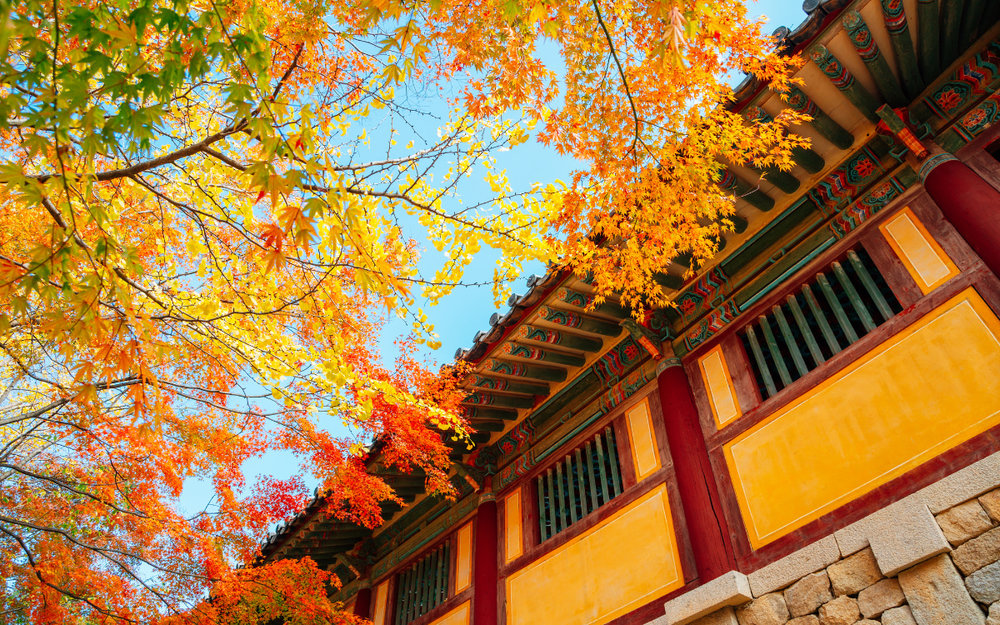 Lưu Ý Khi Đi Du Lịch Hàn Quốc Tháng 9