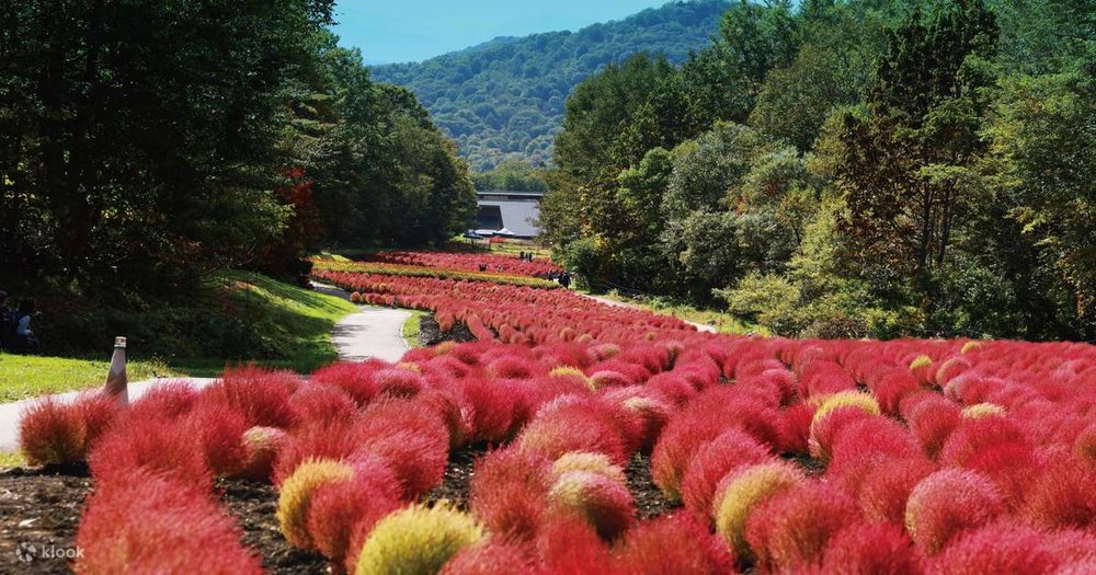 Gunma Sightseeing & Gourmet Trip dari Tokyo, Jepang