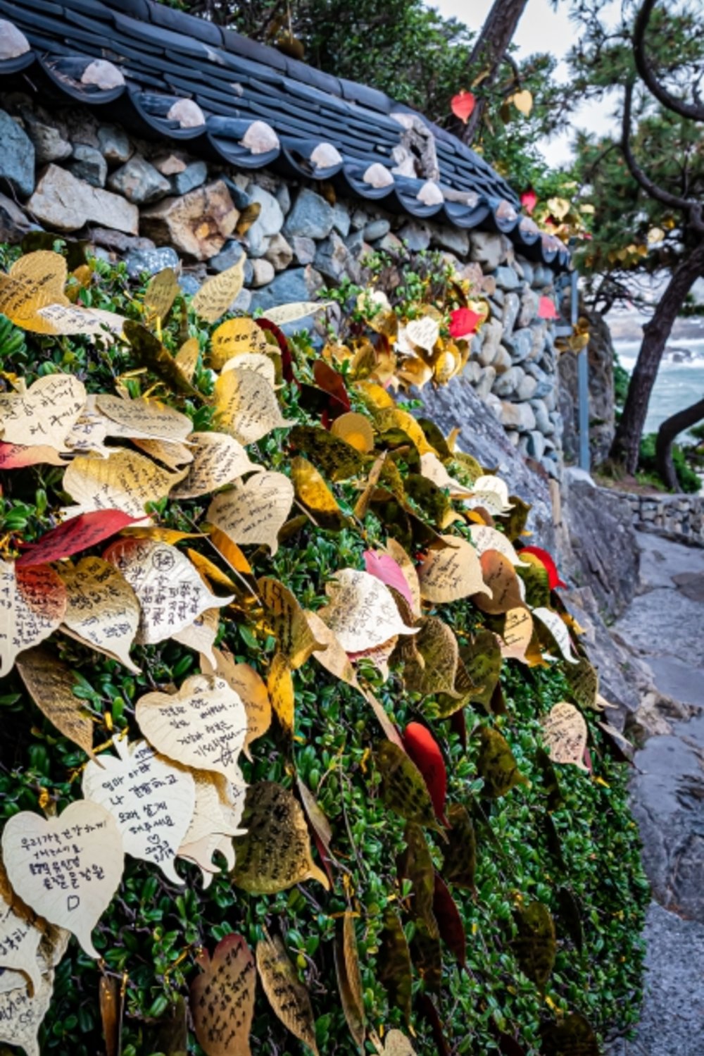 釜山 海東龍宮寺（ヘドンヨングンサ）