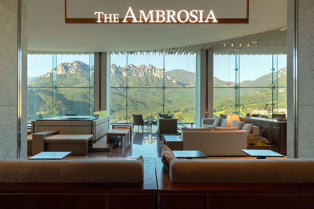 韓国 高城：コソン Sono Felice Delpino　THE AMBROSIA