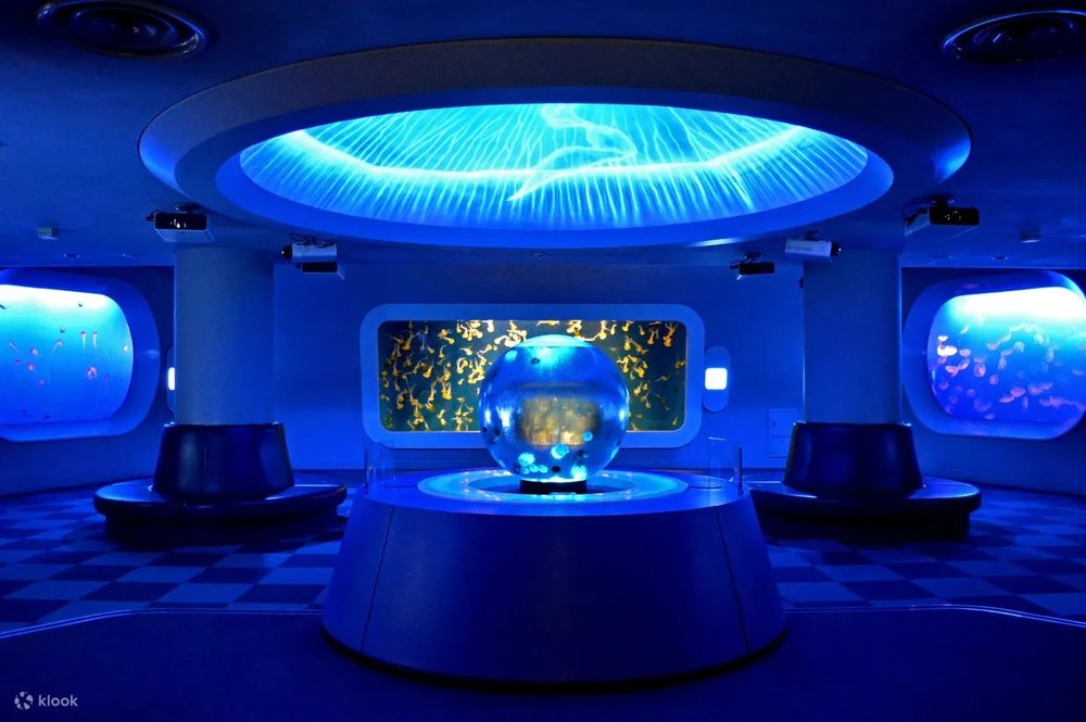 藤澤新江之島水族館