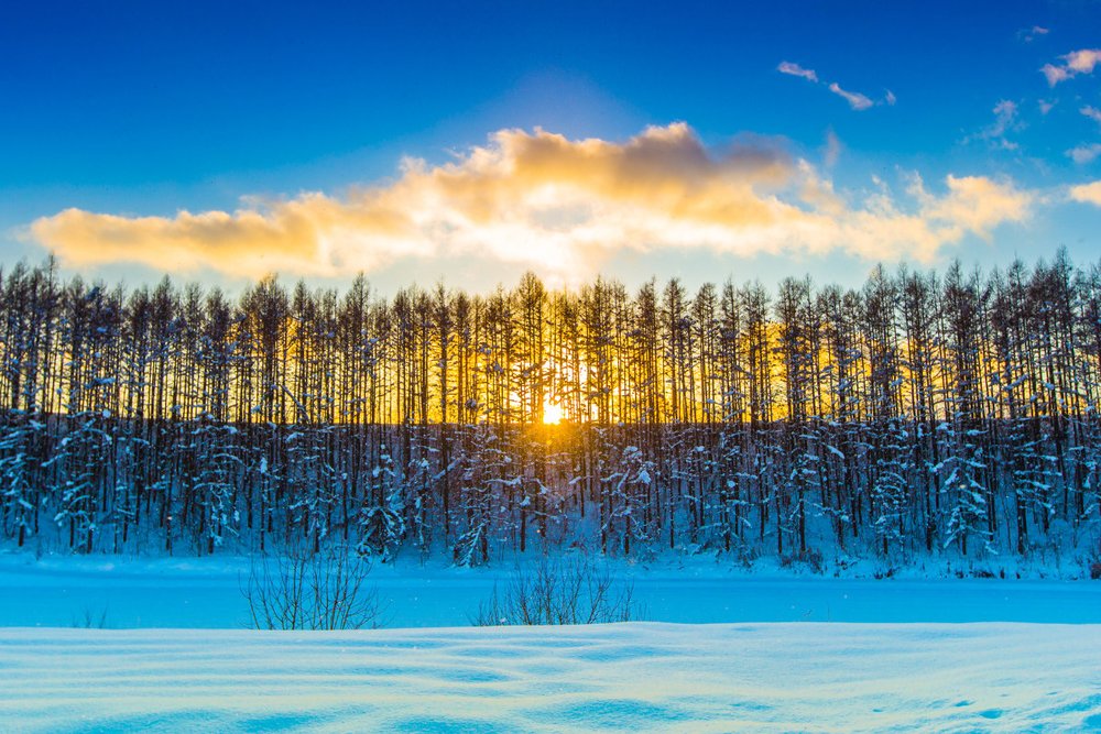 Lễ Hội Ánh Sáng Hồ Biei - Hokkaido