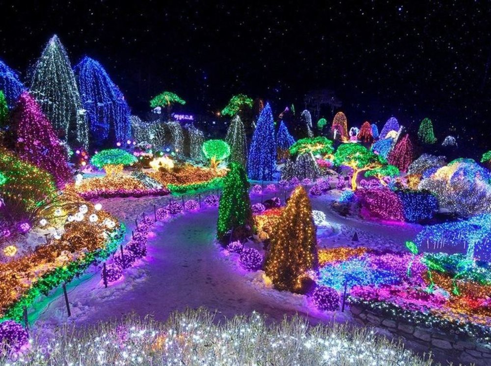 Lễ Hội Ánh Sáng Tại Garden Of Morning Calm - Gyeonggi-do
