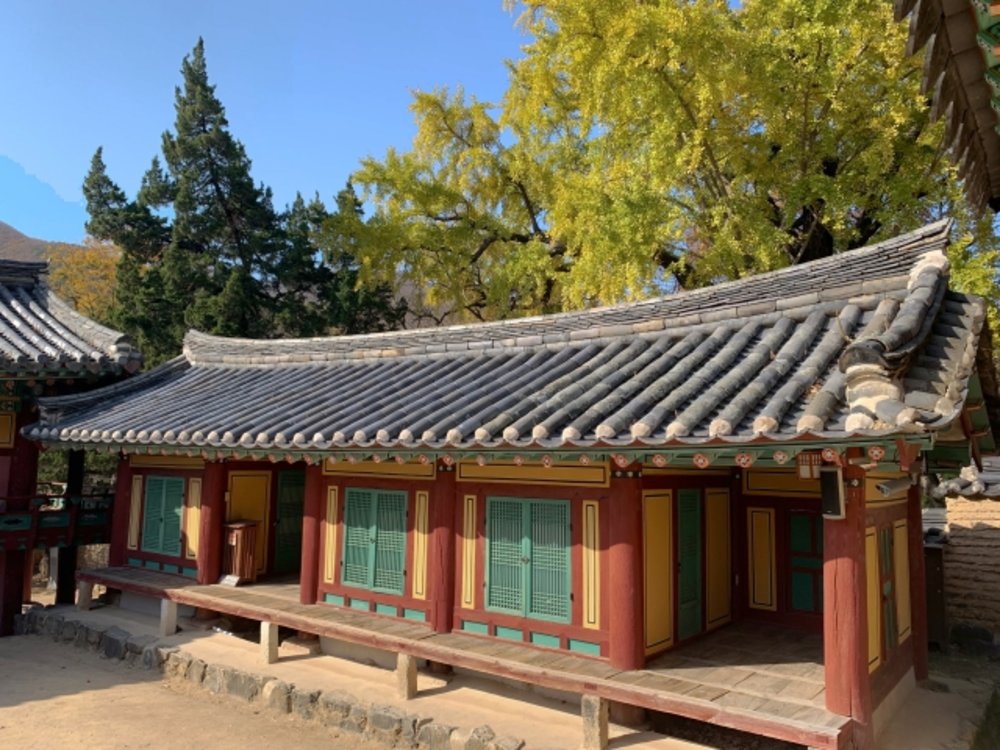 慶州一日遊 慶州 玉山書院