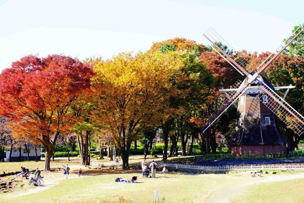 名古屋紅葉景點, 名古屋城 & 名城公園