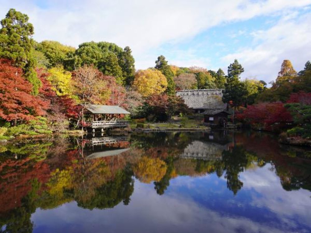 名古屋紅葉景點, 東山動植物園
