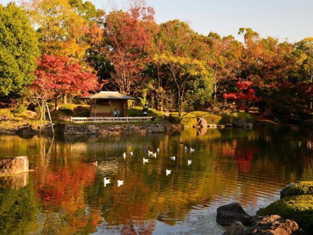 名古屋紅葉景點, 白鳥庭園
