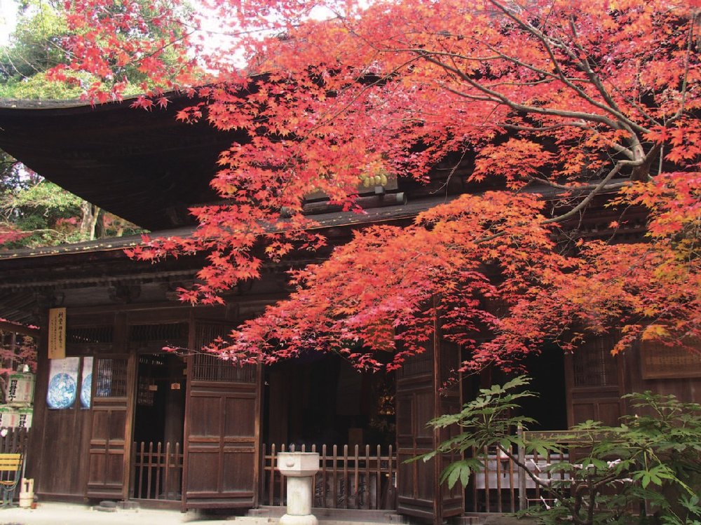 名古屋紅葉景點, 定光寺・定光寺公園