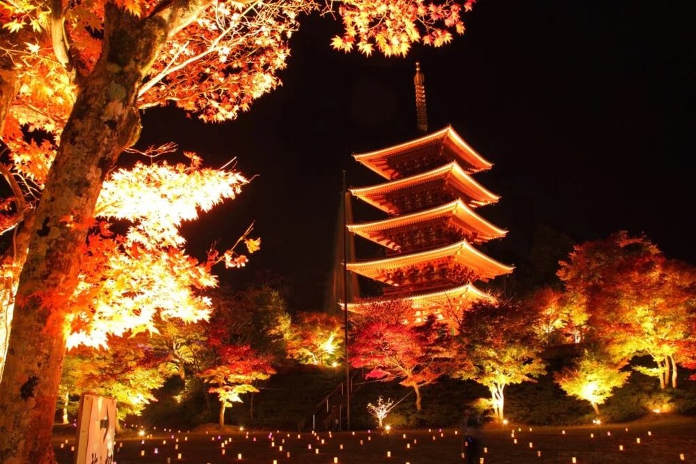 京都近郊紅葉景點, 成相寺