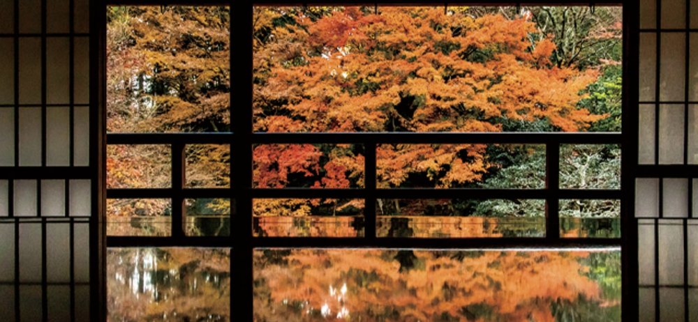 京都近郊紅葉景點, 舊竹林院