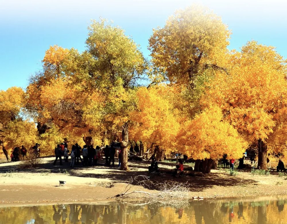 新疆自由行｜天氣