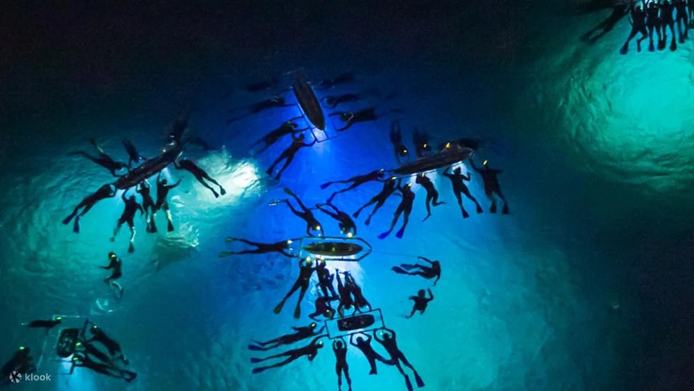 Lặn Biển Bơi Cùng Cá Đuối