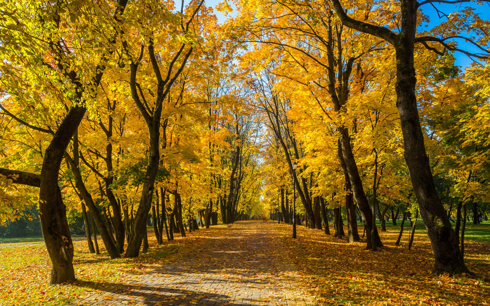 Công Viên Namsan - Seoul