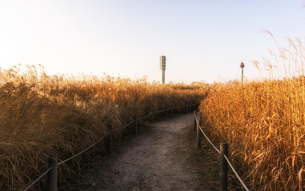 Công Viên Haneul - Seoul