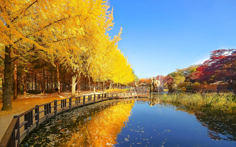 Đảo Nami - Gangwon-do