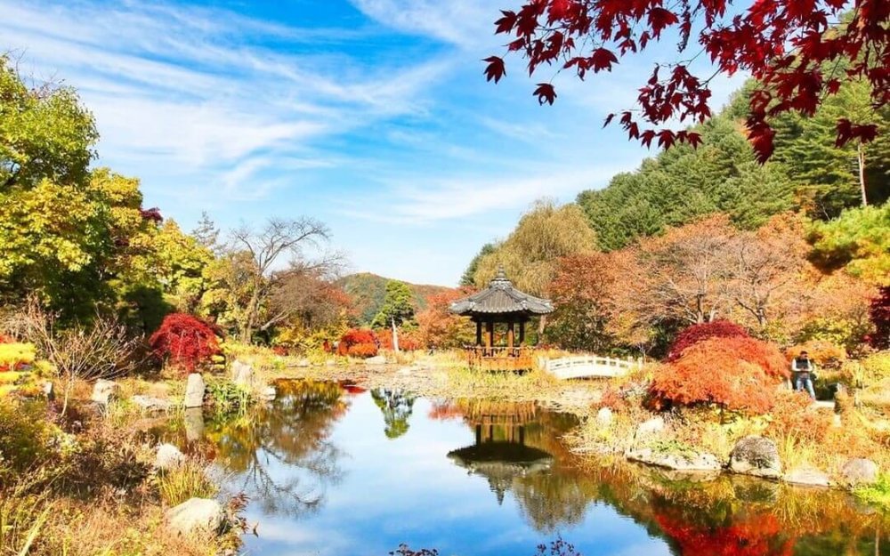 Garden Of Morning Calm - Gyeonggi-do