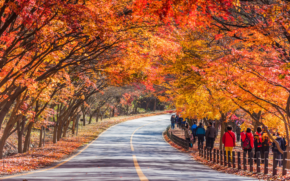 Vườn Quốc Gia Naejangsan - Jeollabuk-do