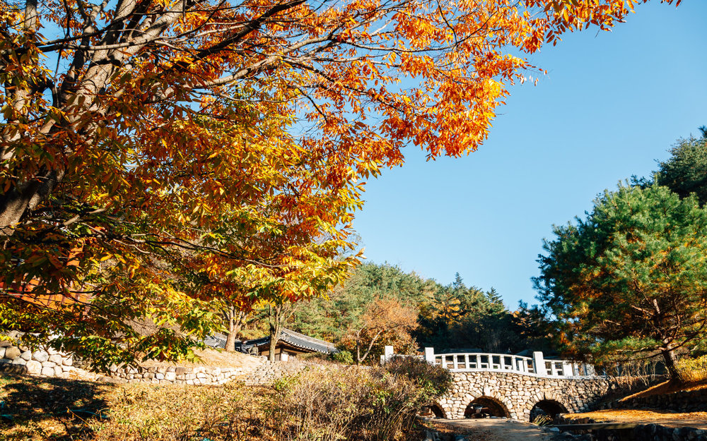 Thời Tiết Tháng 10 Ở Hàn Quốc Như Thế Nào?