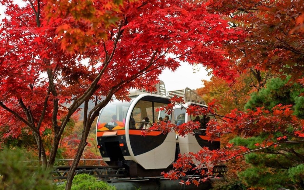 Vườn Bách Thảo Hwadam - Gyeonggi-do